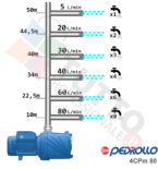 Elettropompa Pedrollo 4CPM80 - 0.75 Hp - D'Alessandris